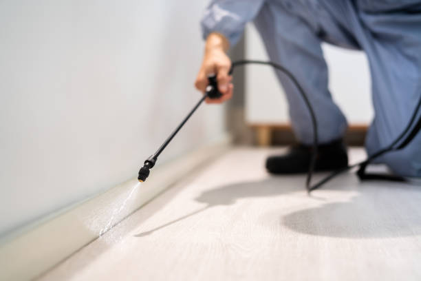 Licensed Termite Control service in Hoopa, CA - Nex Pest Control