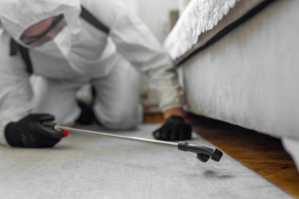 Professional Termite Control technician working in Hoopa, CA
