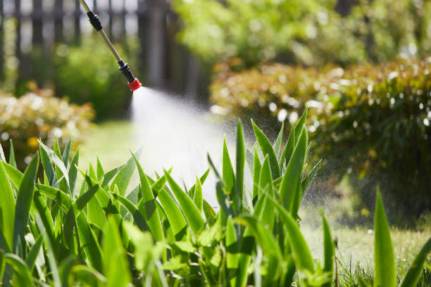 24/7 Emergency Termite Control experts in Hoopa, CA