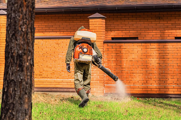 Top rated local Termite Control specialists in Hoopa, CA